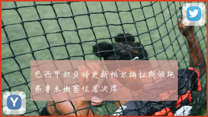 巴西甲积分榜更新帕尔梅拉斯领跑弗鲁米嫩塞位居次席