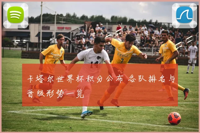 卡塔尔世界杯积分公布 各队排名与晋级形势一览